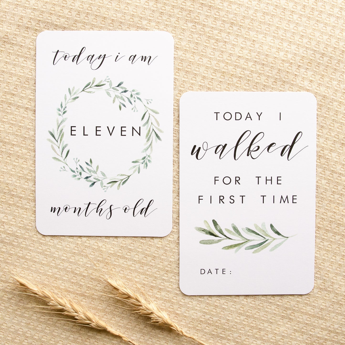 Baby Milestone Cards - Evergreen Collection