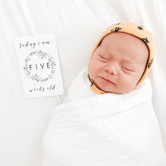 Baby Milestone Cards - Evergreen Collection